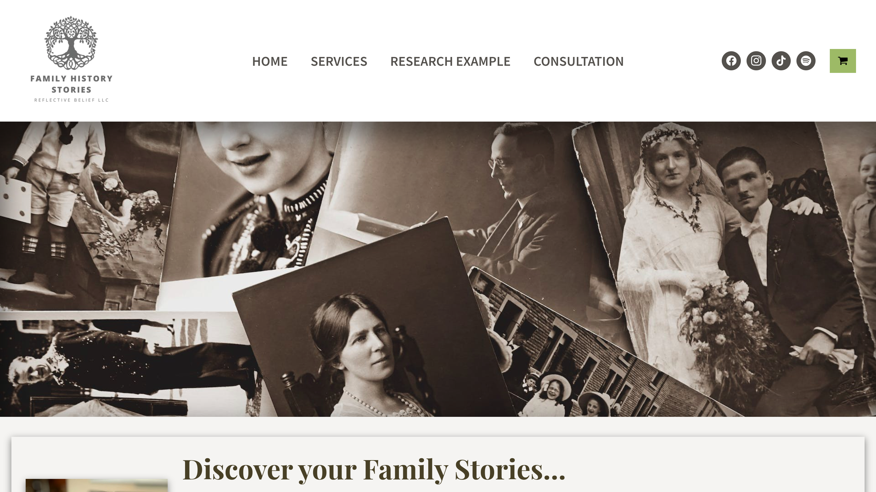 Family History Stories Screenshot